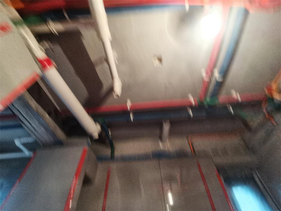 IMG_20231109_101250.jpg