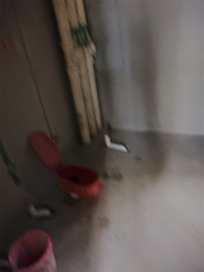 IMG_20231108_121847.jpg