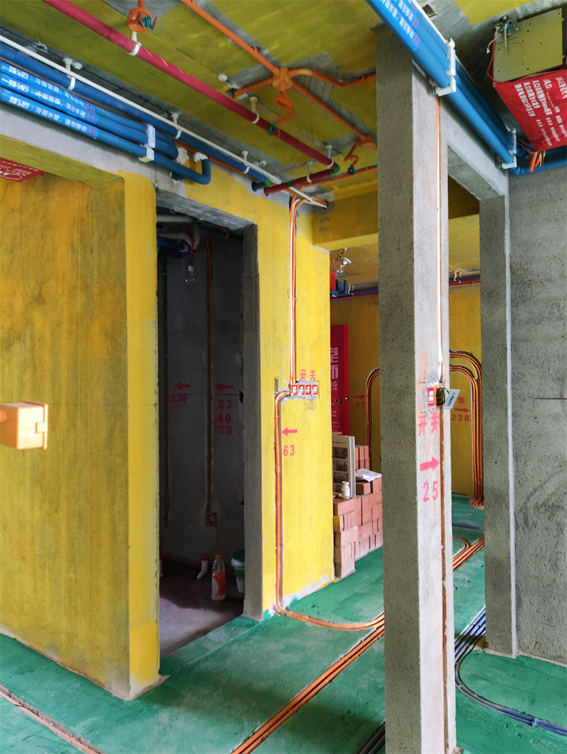 IMG_20231108_121930.jpg