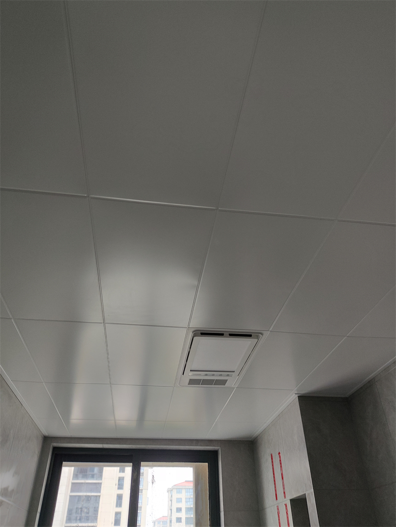 IMG_20231108_113616.jpg