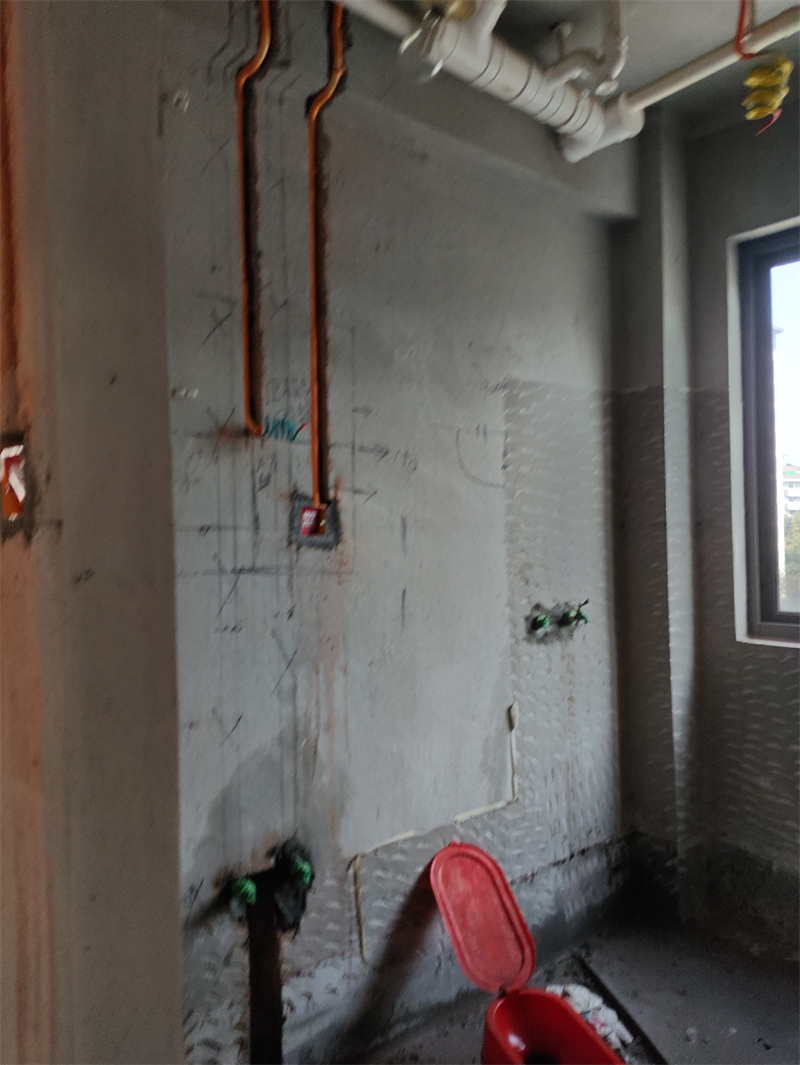 IMG_20231115_105007.jpg