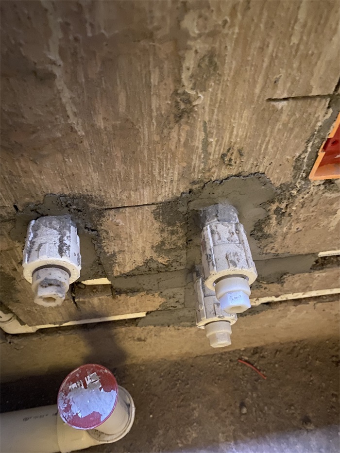 IMG_5147.JPG