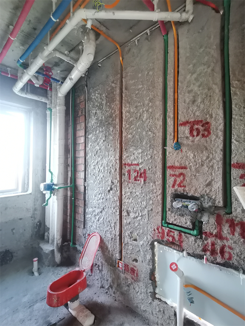IMG_20231201_084130.jpg
