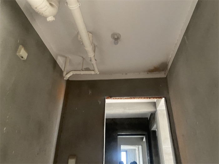 IMG_5524.JPG