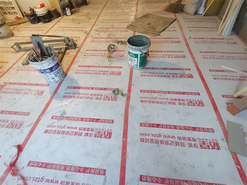 IMG_20231212_082549.jpg
