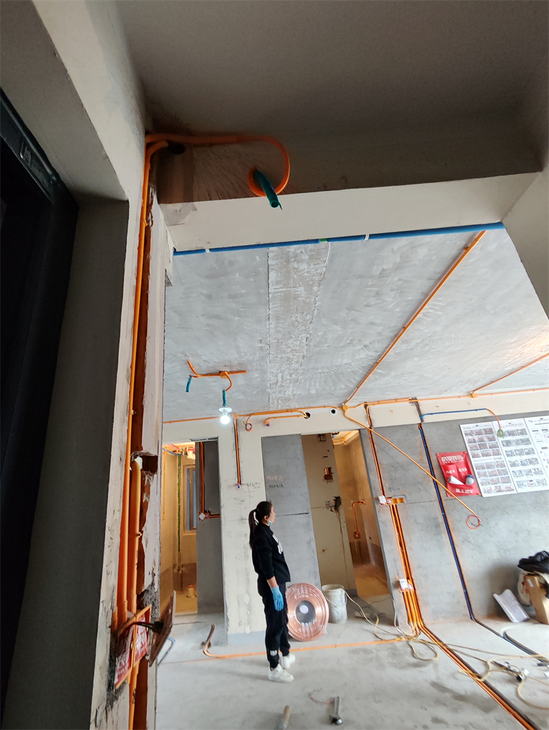 IMG_20231213_095209.jpg