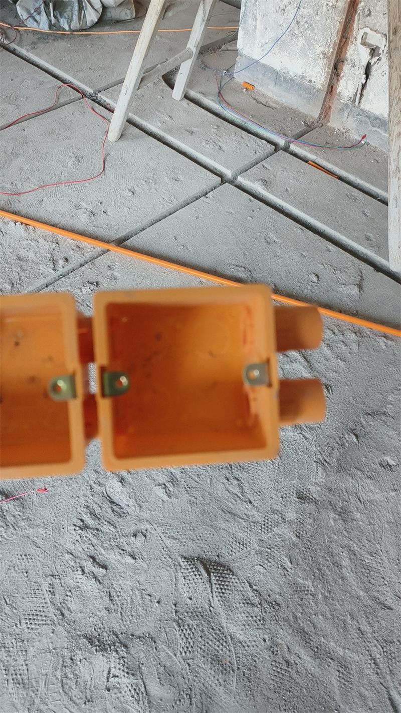 mmexport1702623480966.jpg