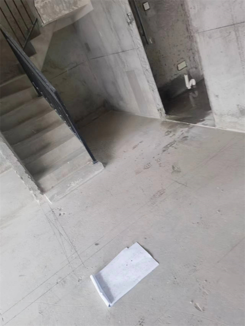 mmexport1702966822735.jpg