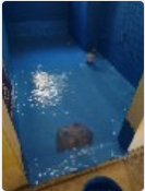 QQ�������ͼ20231226173549.png