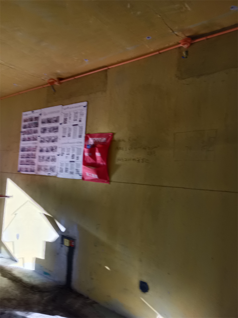 IMG_20240110_084235.jpg