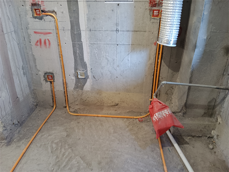 IMG_20240111_090450.jpg