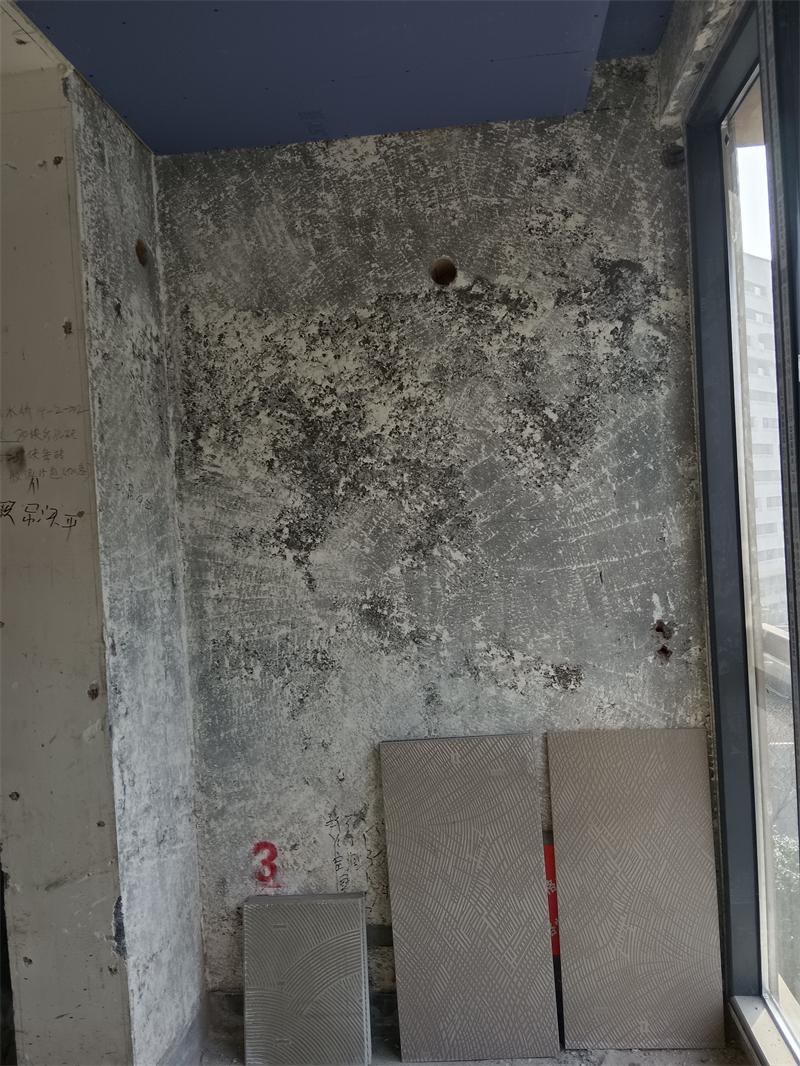 IMG_20240111_094120.jpg