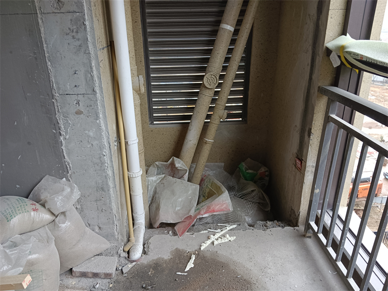 IMG_20240119_082425.jpg