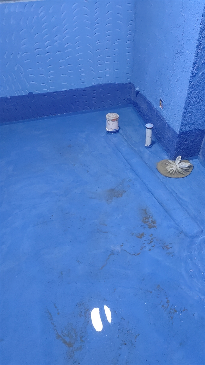 mmexport1705920833056.jpg