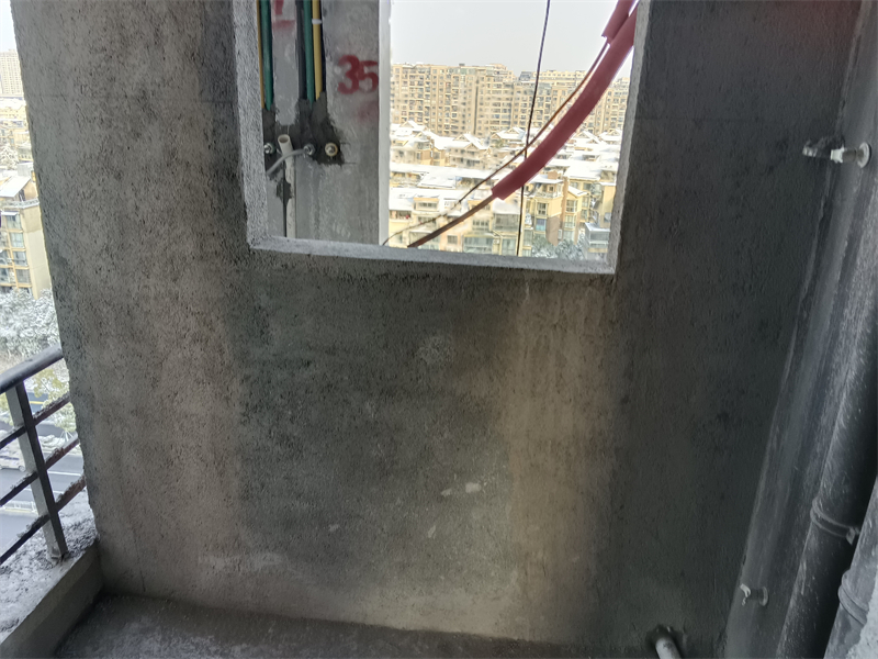 IMG_20240123_081947.jpg
