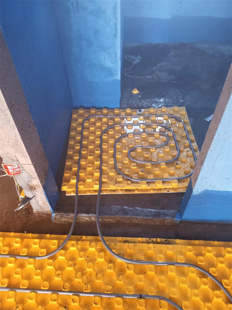 mmexport1706693066383.jpg