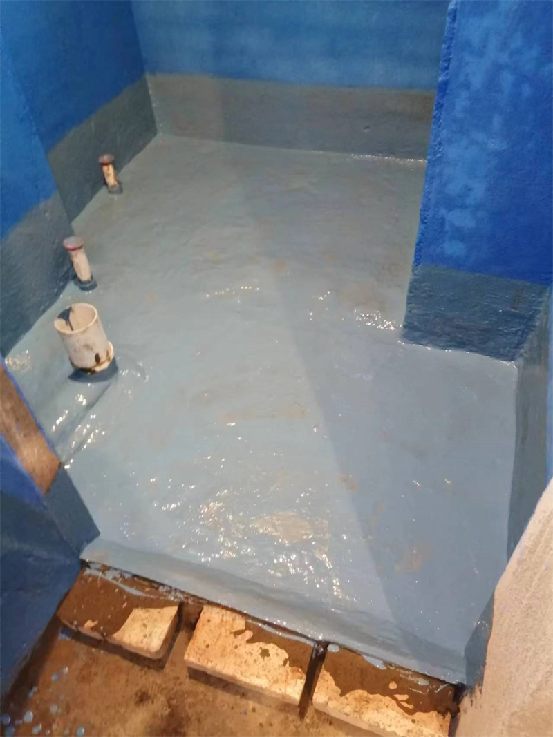 mmexport1709016415812.jpg