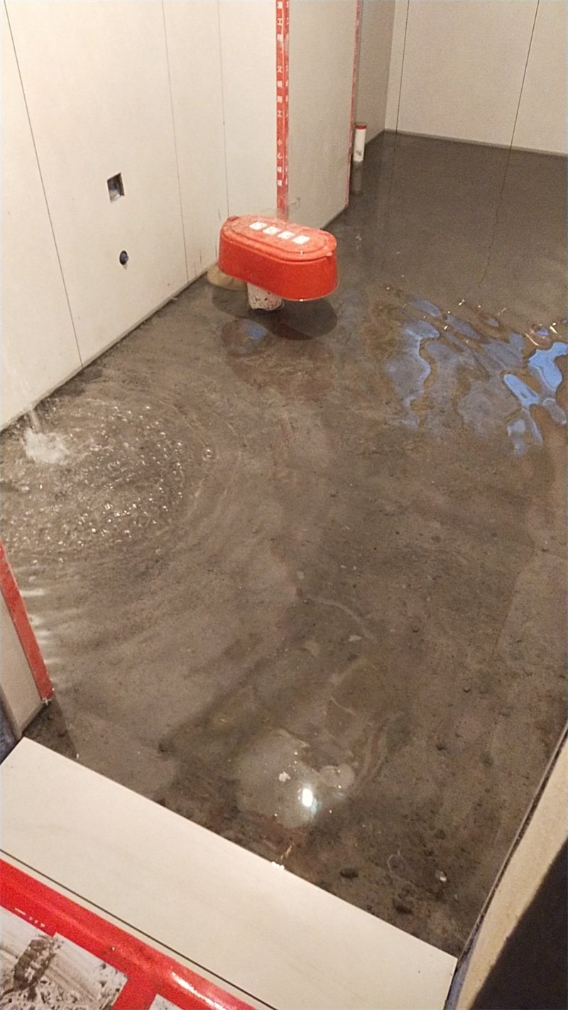 mmexport1709022085446.jpg