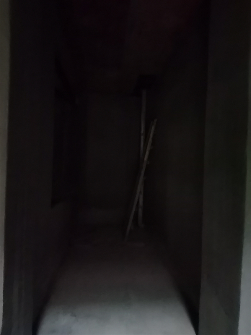 IMG_20240109_091155.jpg