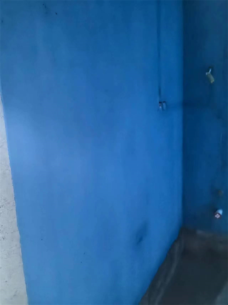 mmexport1709284993670.jpg