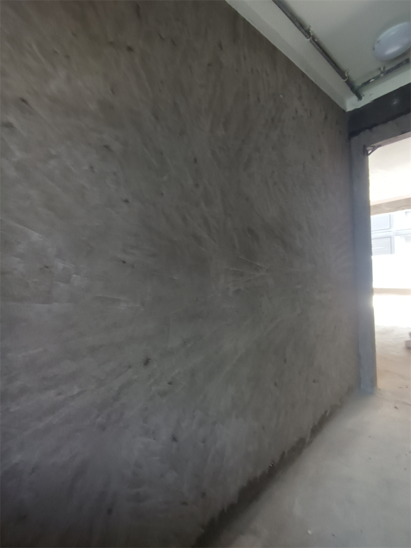IMG_20240309_102447.jpg