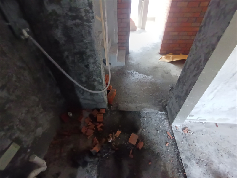 IMG_20240309_102739.jpg