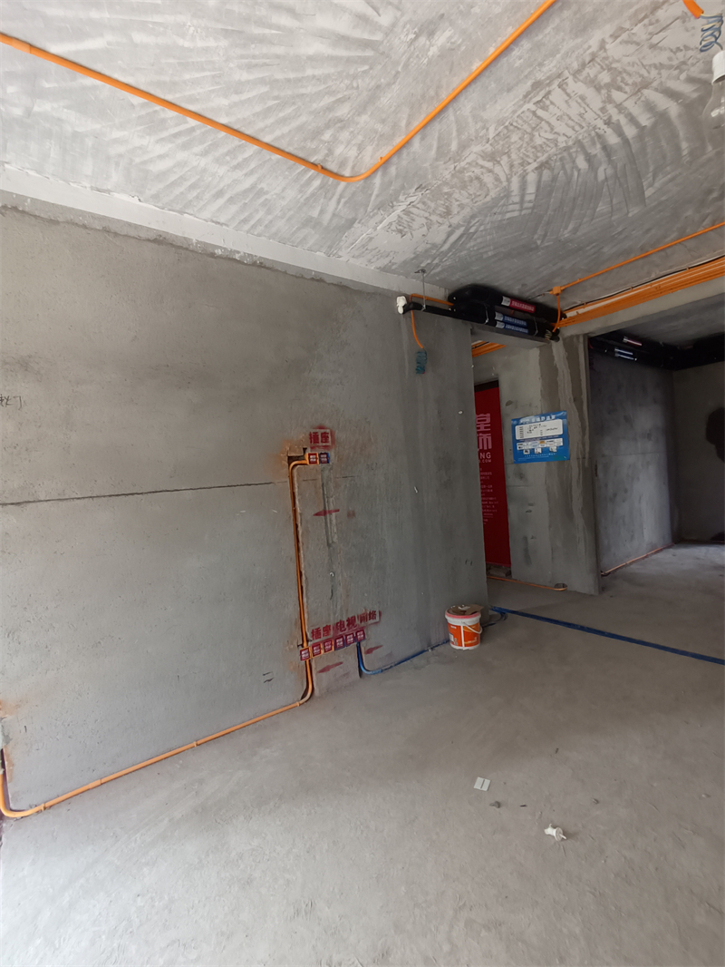 IMG_20240308_131650.jpg