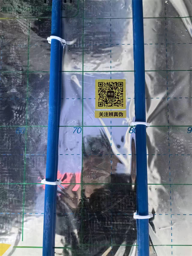 mmexport1711071239485.jpg