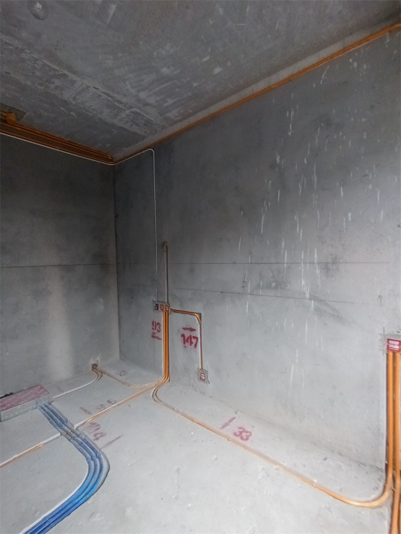 IMG_20240322_084133.jpg