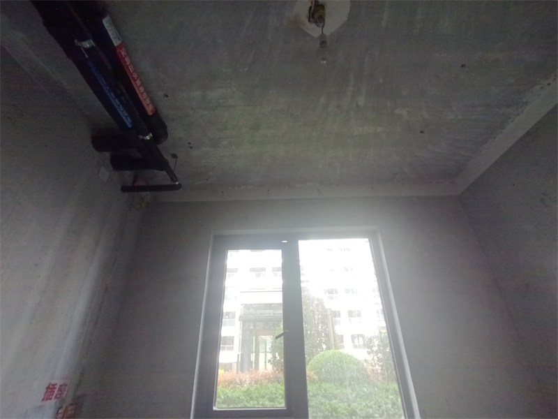 IMG_20240323_101301.jpg