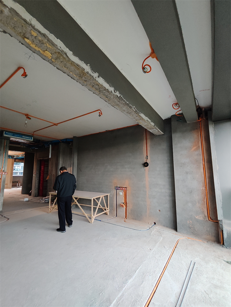 IMG_20240328_095548.jpg