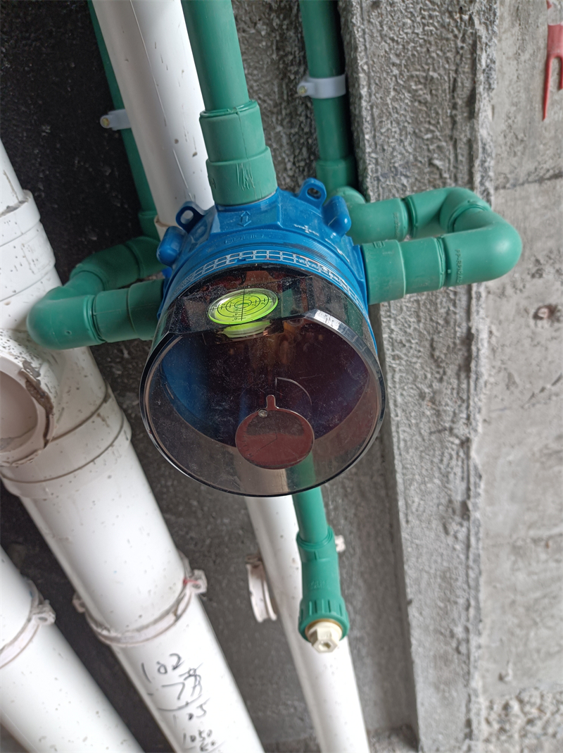 IMG_20240403_112733.jpg