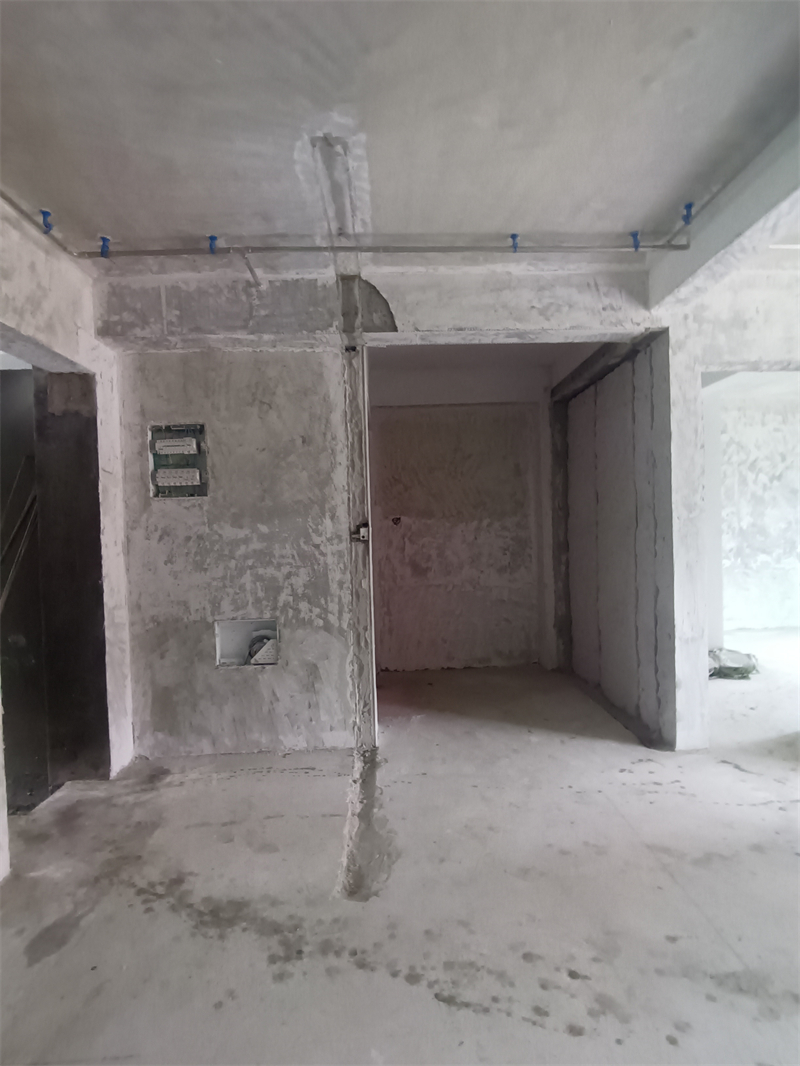 IMG_20240408_094907.jpg