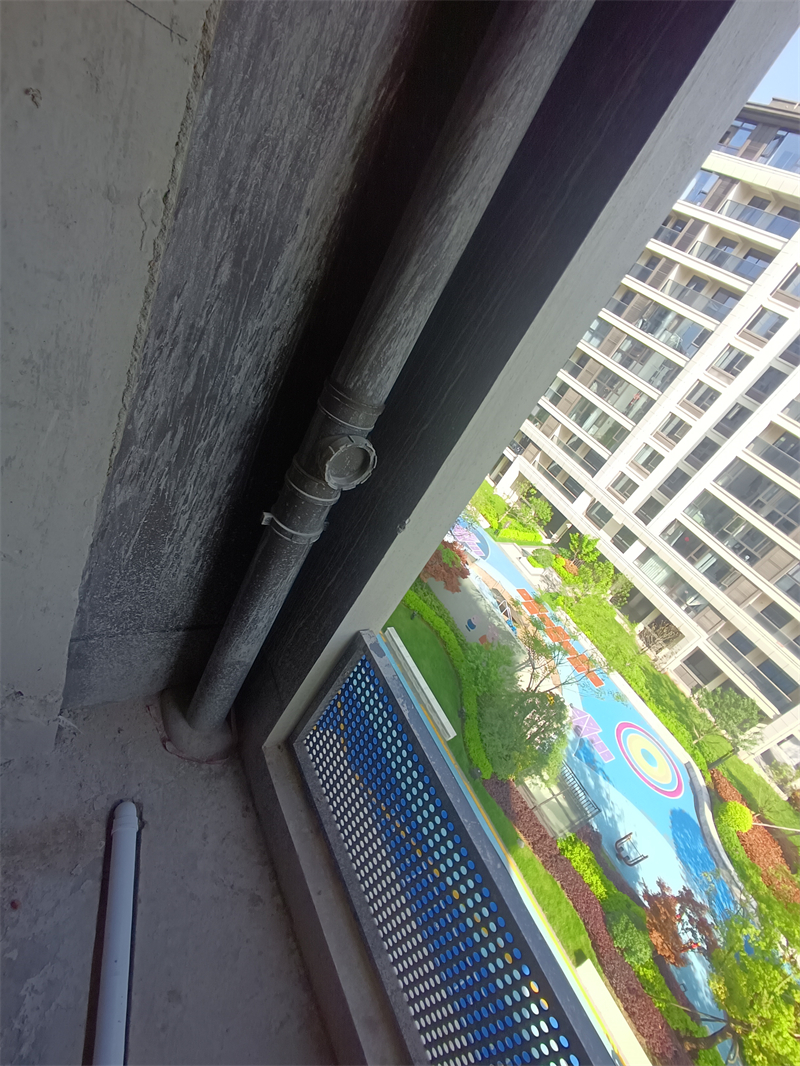 IMG_20240409_084614.jpg