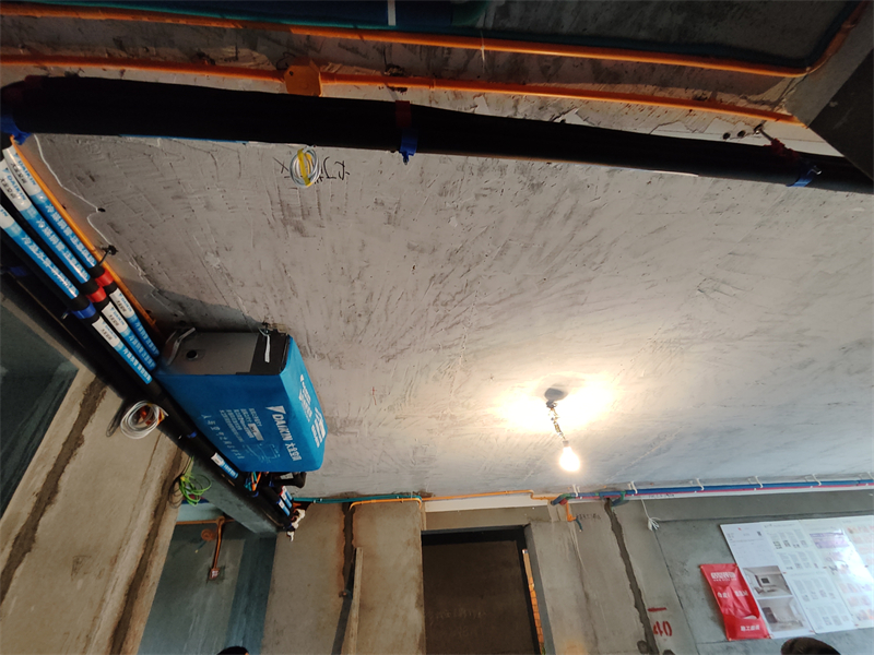 IMG_20240408_103707.jpg