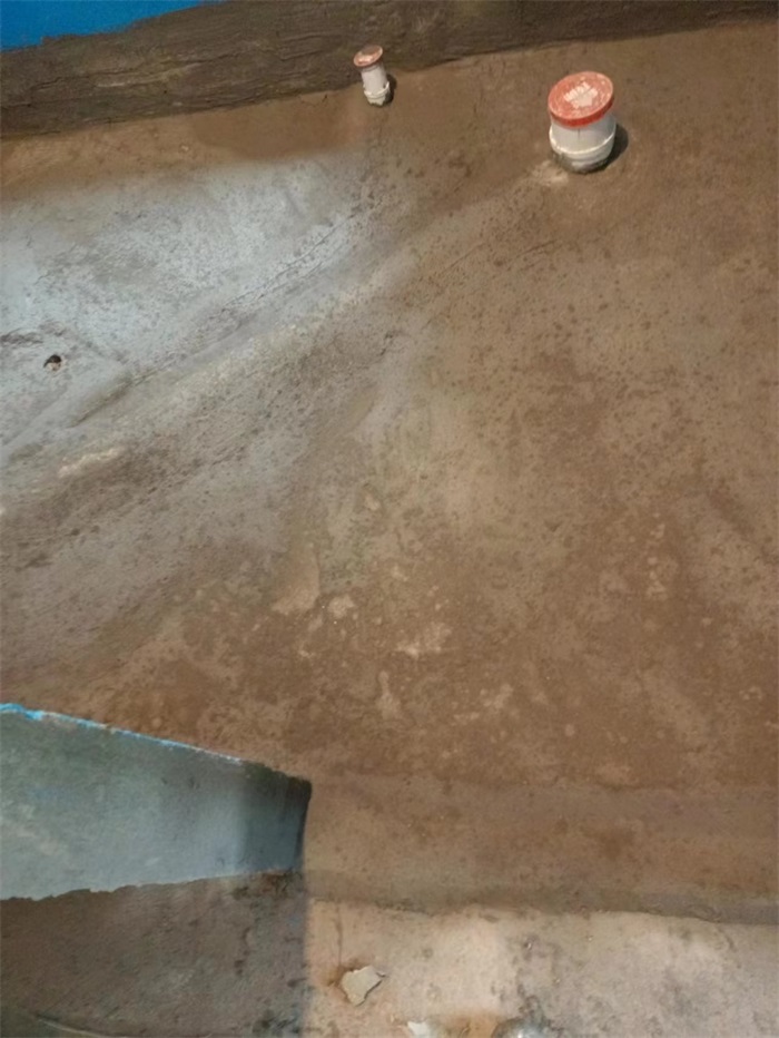 PBDR7986.JPG