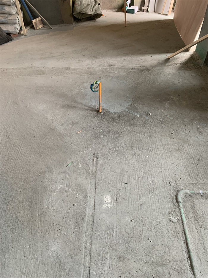 IMG_7410.JPG