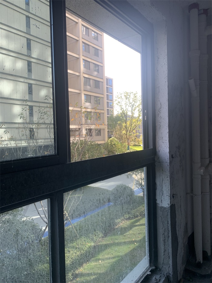 IMG_2646.JPEG