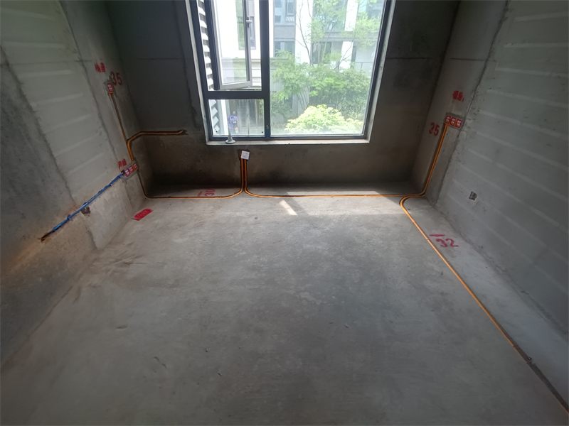 IMG_20240412_110538.jpg