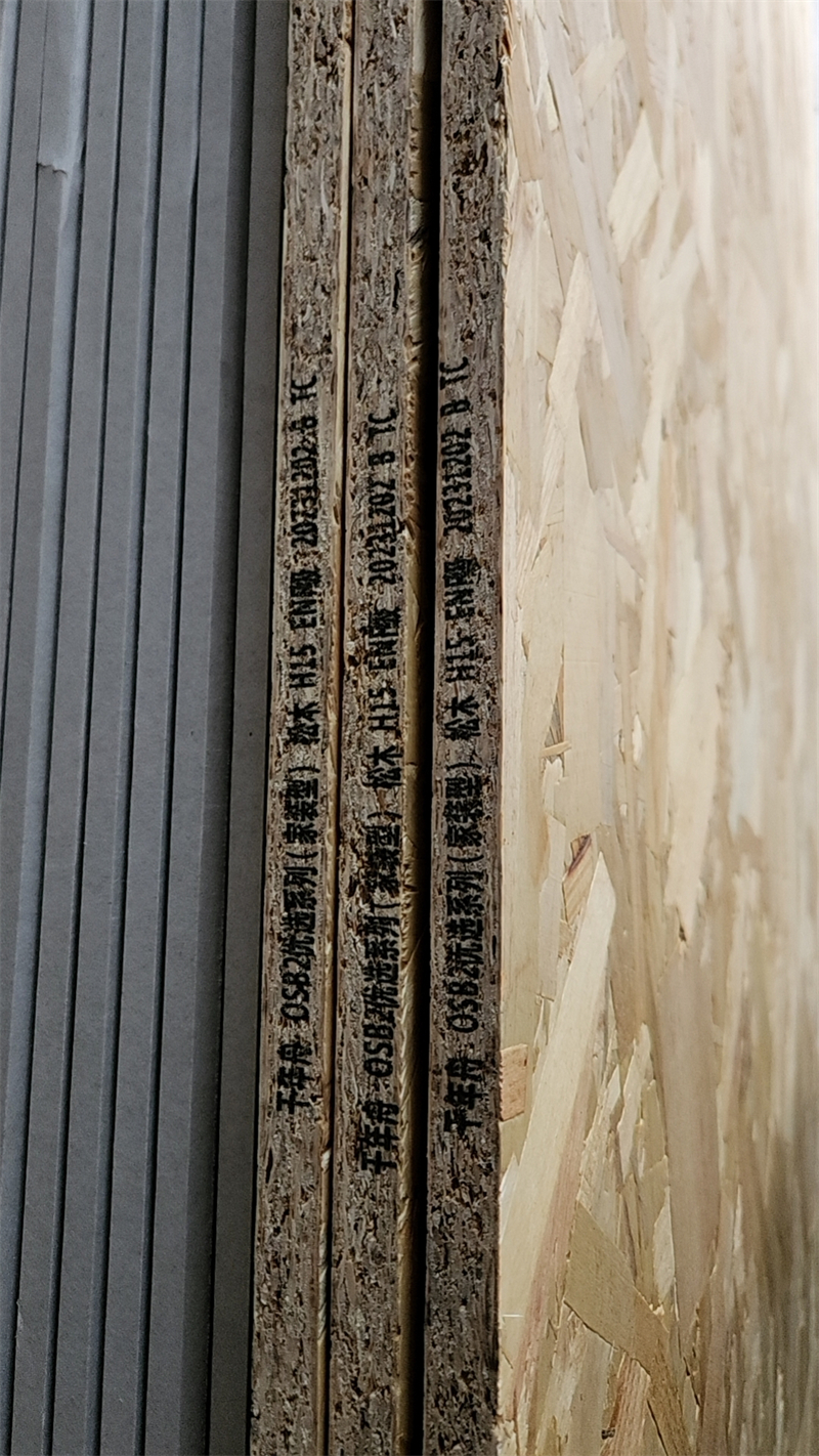 mmexport1713096779616.jpg