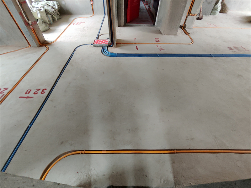 IMG_20240414_154509.jpg