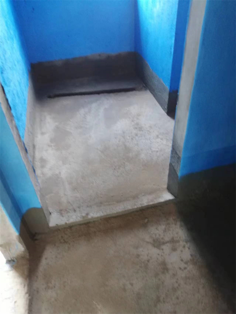 mmexport1713789321552.jpg