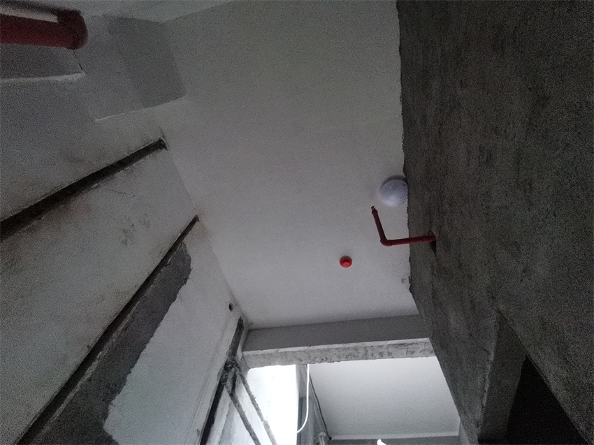 IMG_20240424_091528.jpg