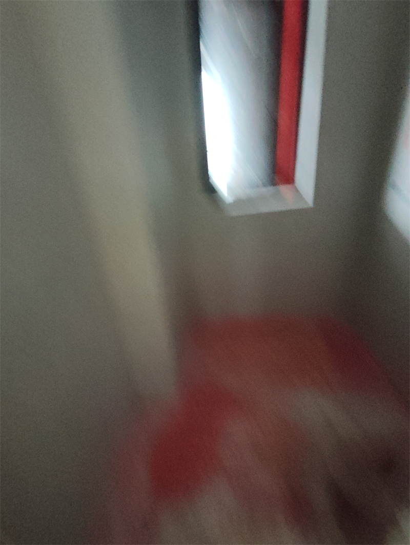 IMG_20240425_154551.jpg