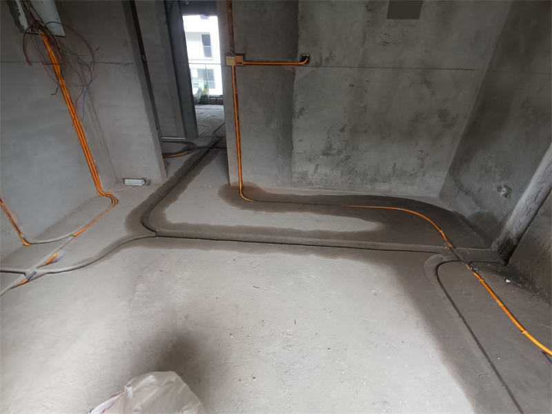 IMG_20240427_084258.jpg