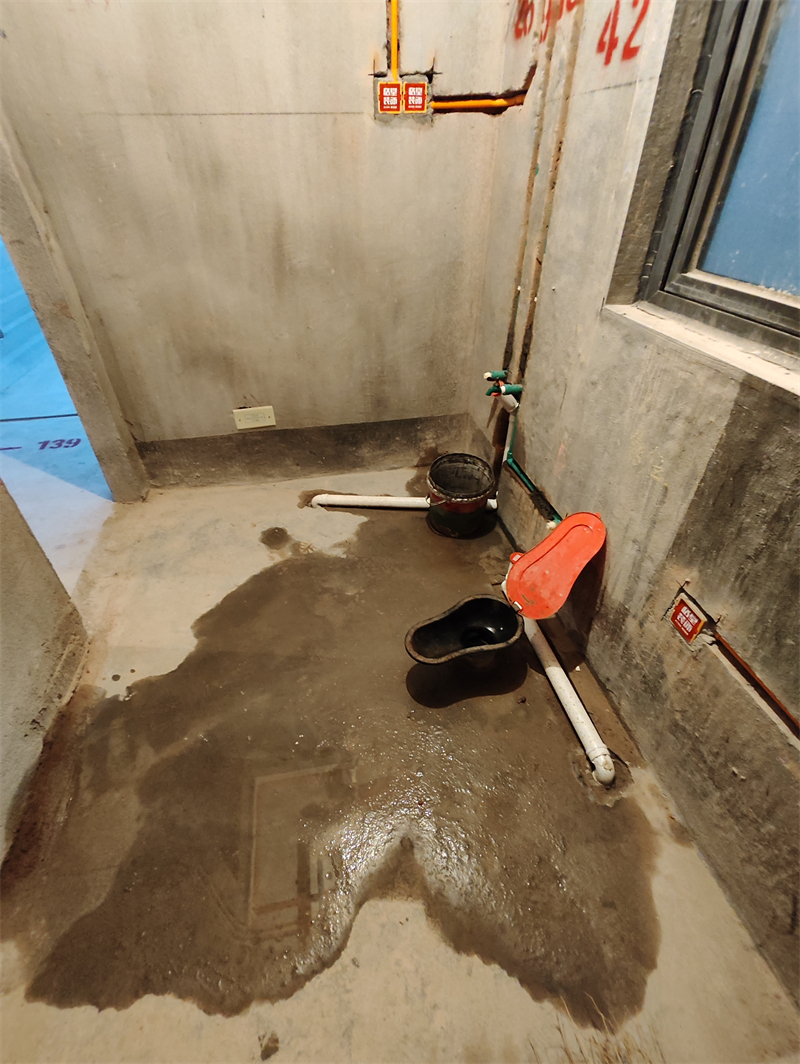 IMG_20240430_175645.jpg