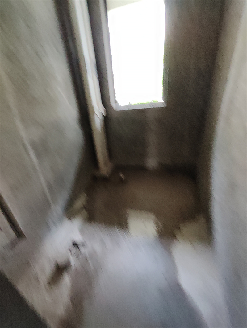 IMG_20240510_102619.jpg