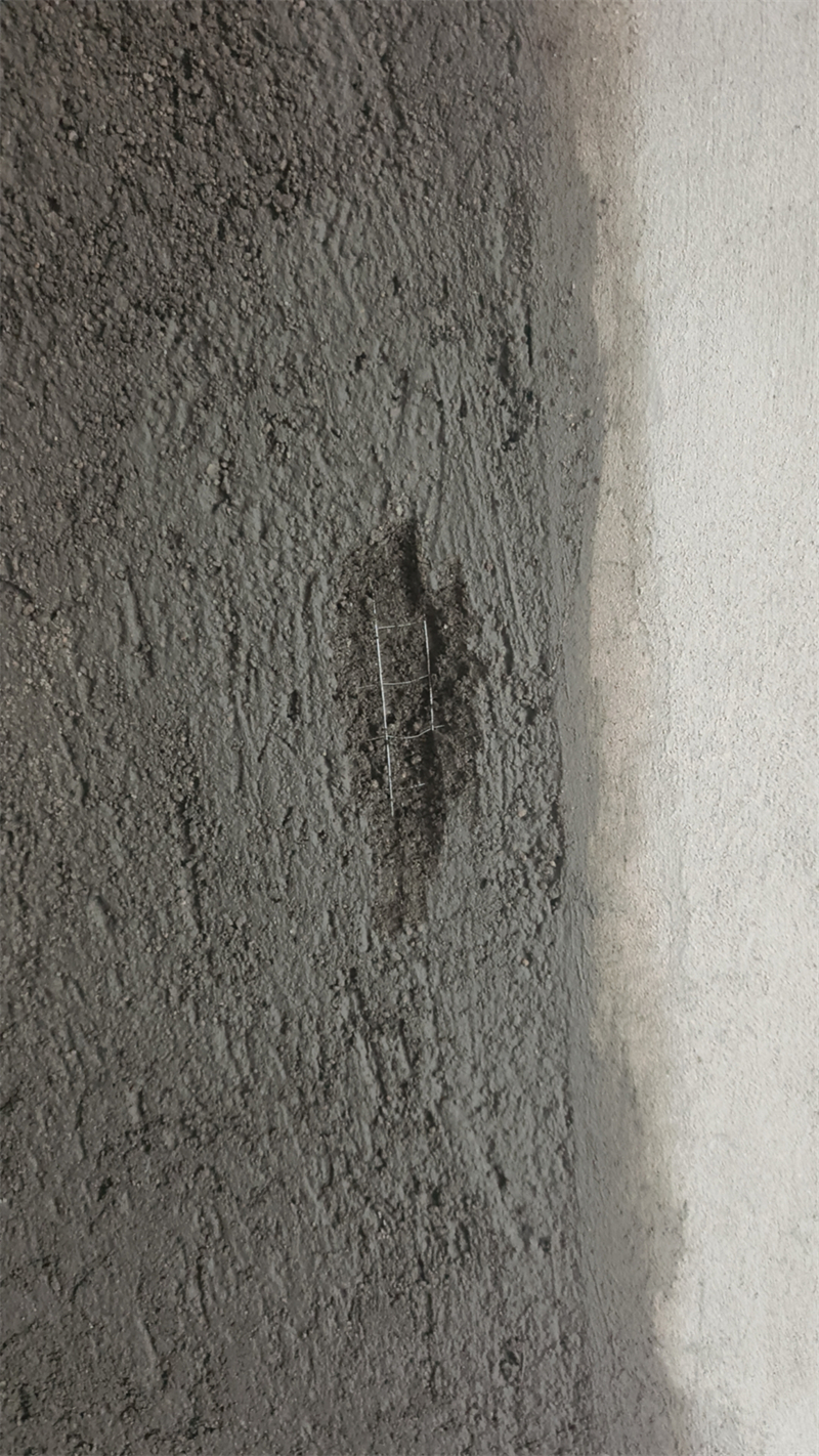 mmexport1715598447448.jpg