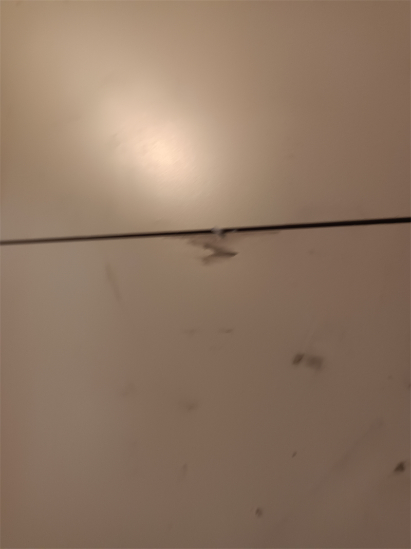 IMG_20240515_173317.jpg
