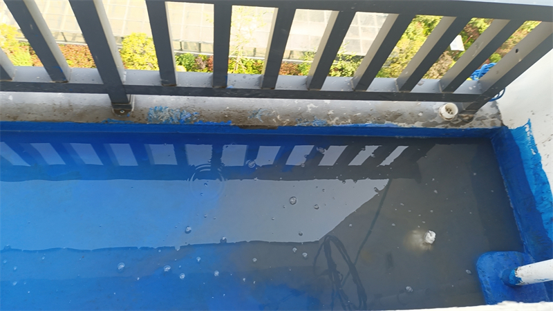 mmexport1715945057473.jpg